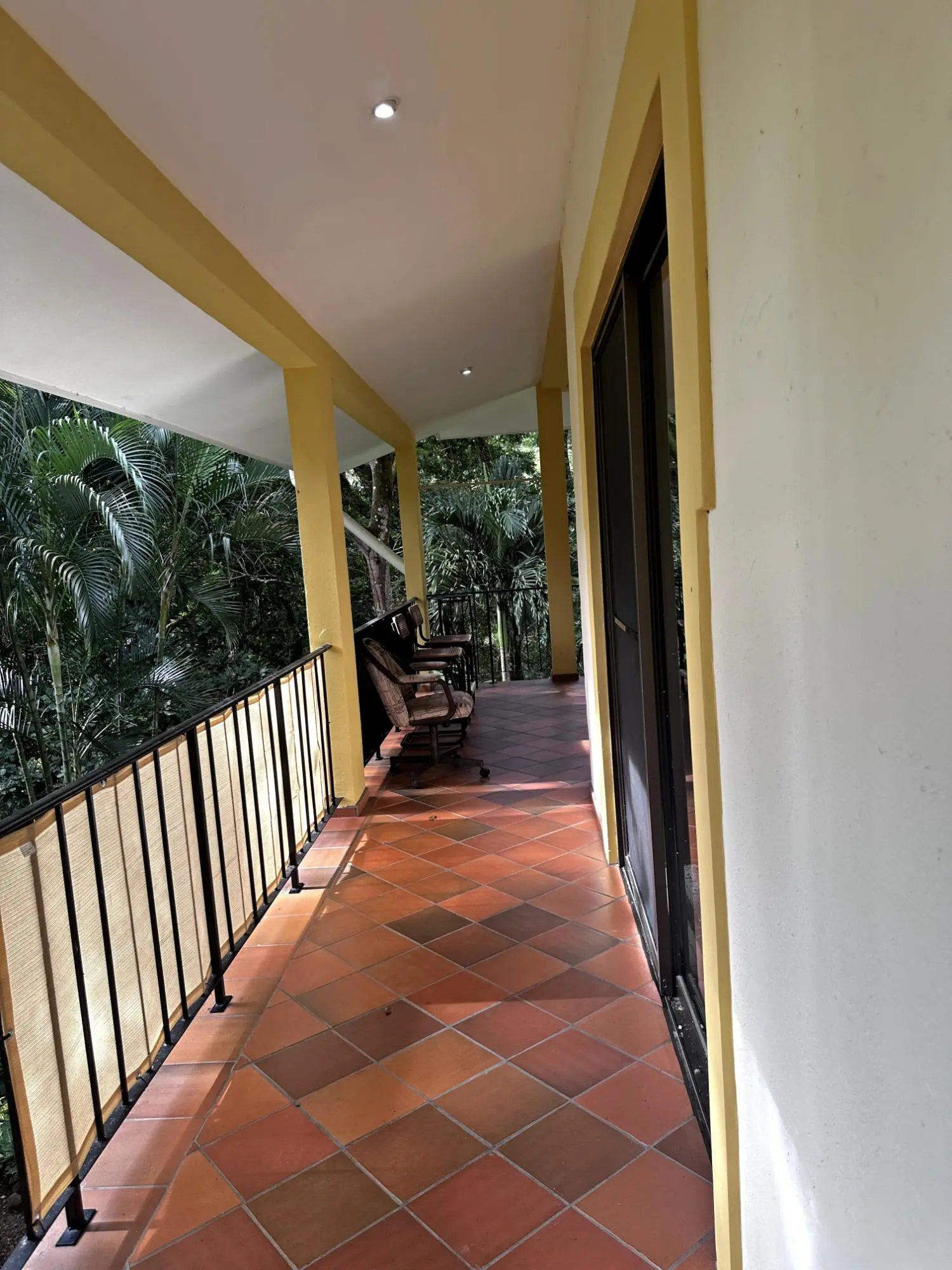 152 Paseo Florencia #152 - Photo 33