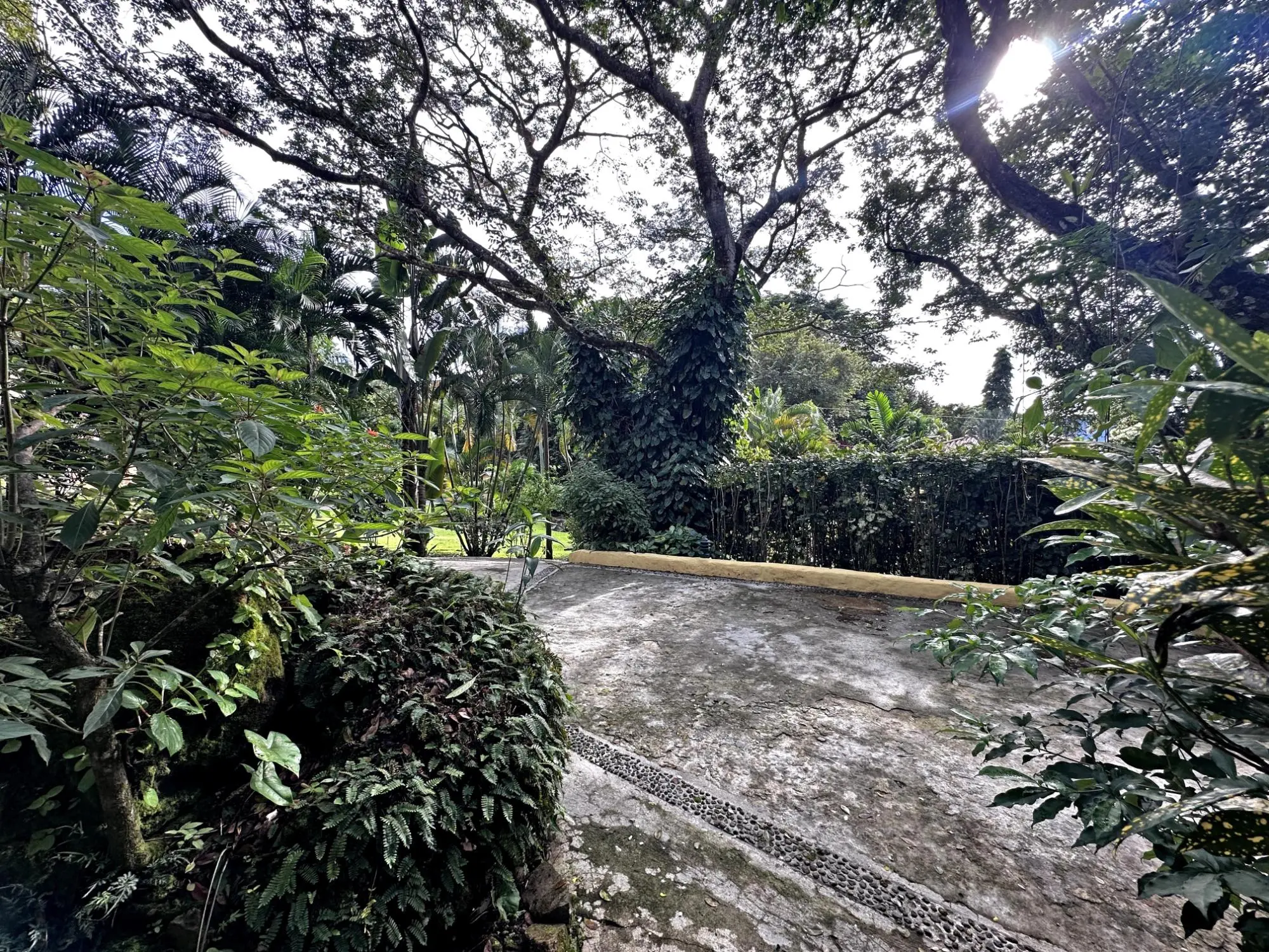 152 Paseo Florencia #152 - Photo 4