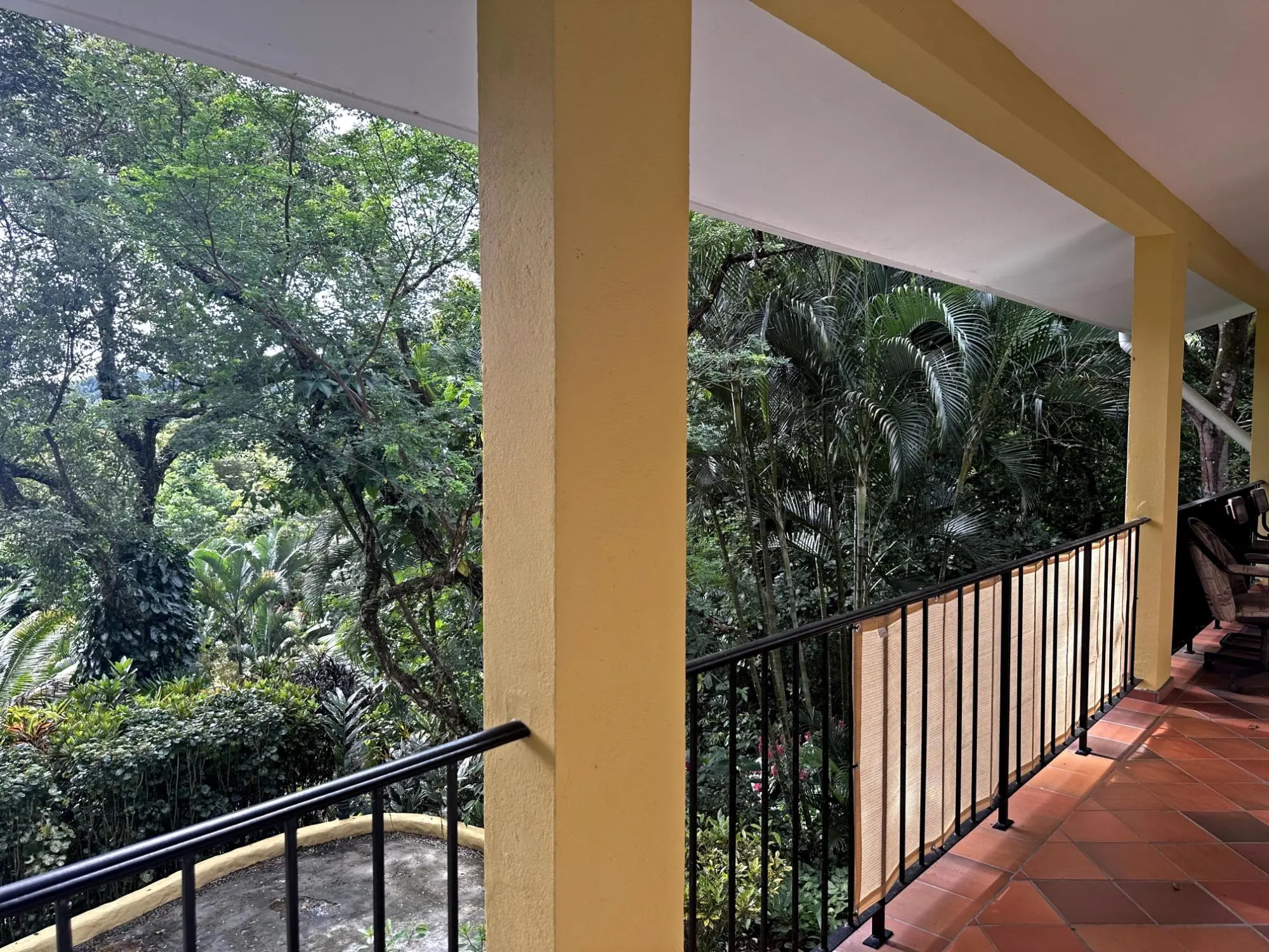 152 Paseo Florencia #152 - Photo 34