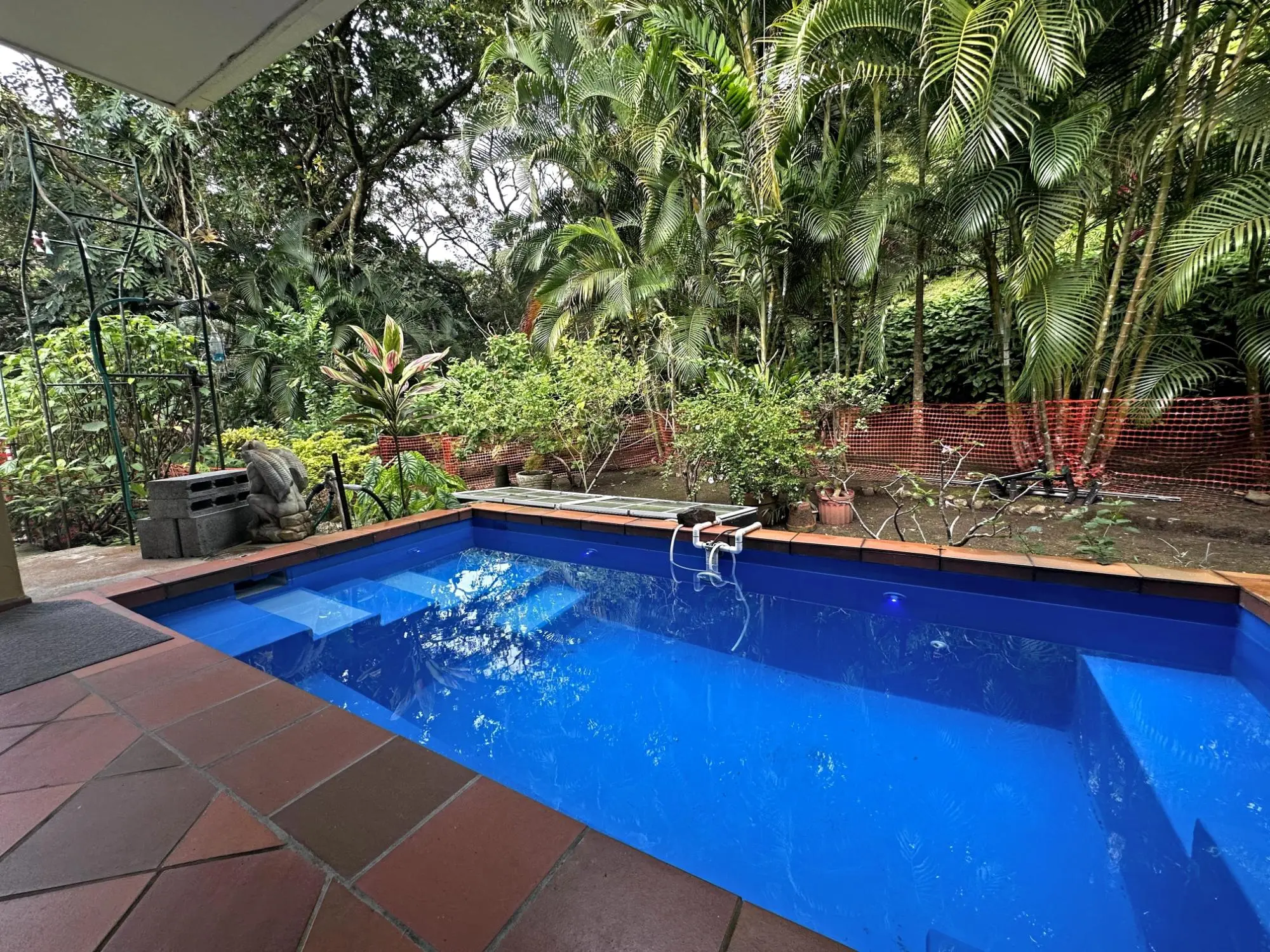 152 Paseo Florencia #152 - Photo 37