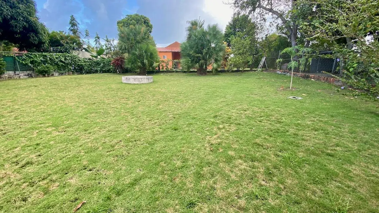 Calle Palmeras, Coronado, Panama - Photo 24