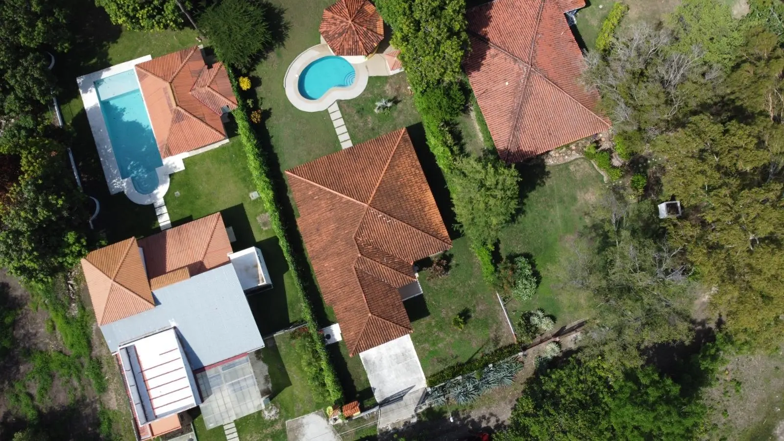 Calle Palmeras, Coronado, Panama - Photo 100