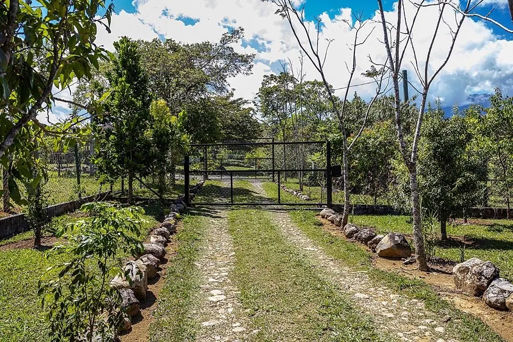 90169 Eden - Photo 73