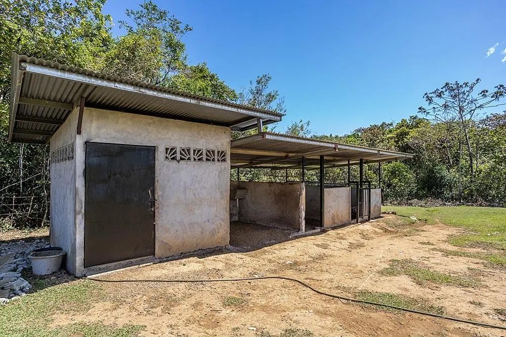 90169 Eden - Photo 65