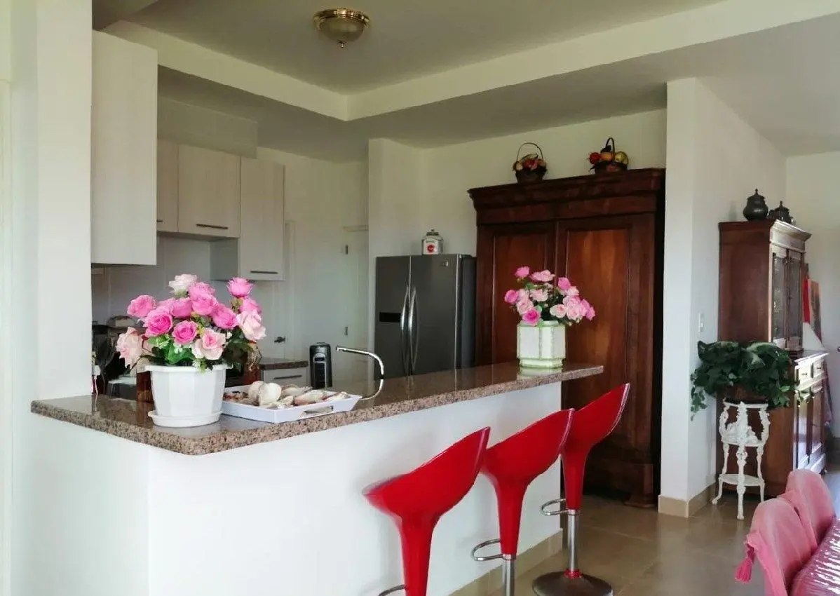 Hacienda Pacífica, Tercera Etapa, C3 , San Carlos, Panama Oeste - Photo 27