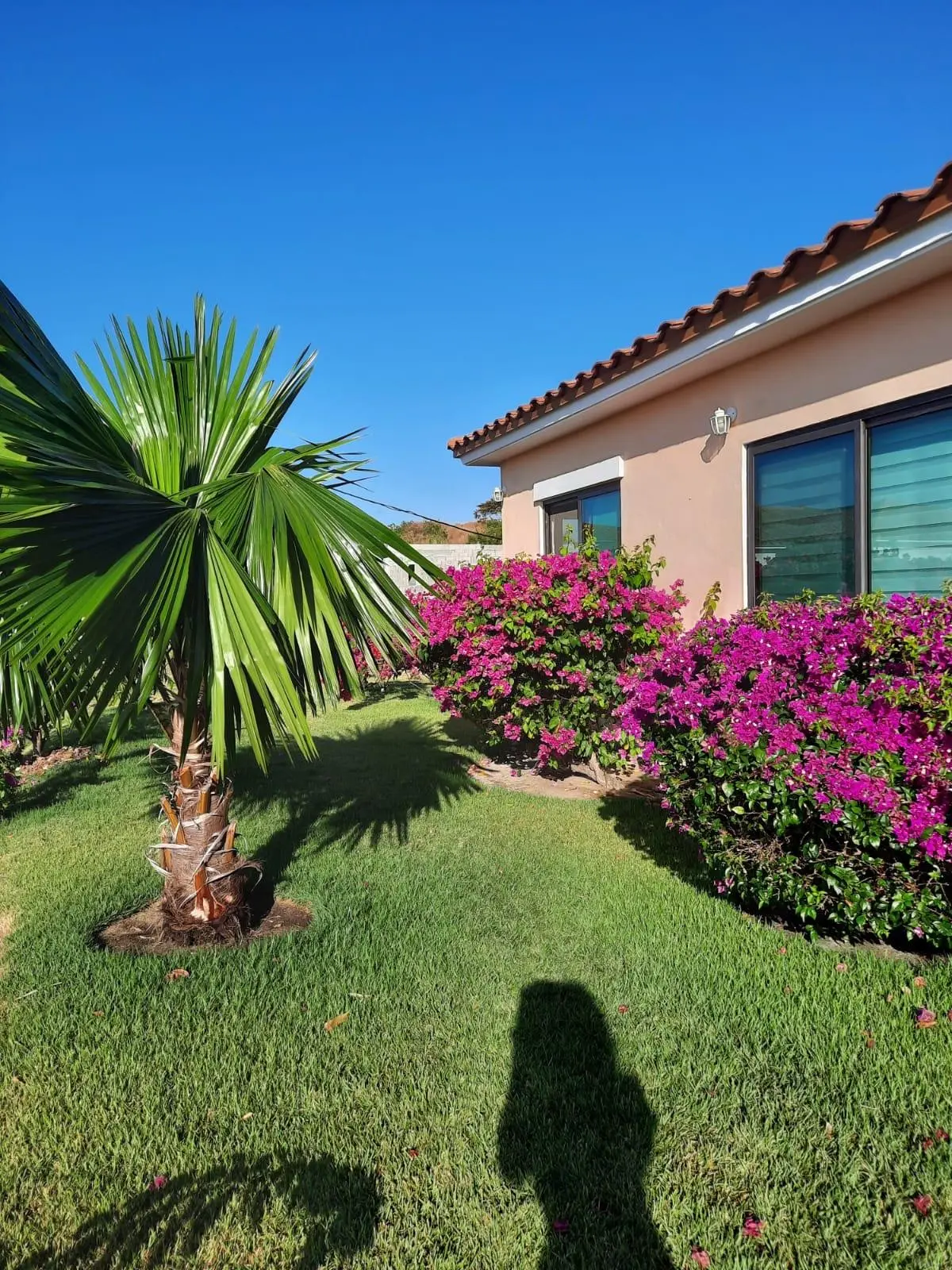 Hacienda Pacífica, Tercera Etapa, C3 , San Carlos, Panama Oeste - Photo 10