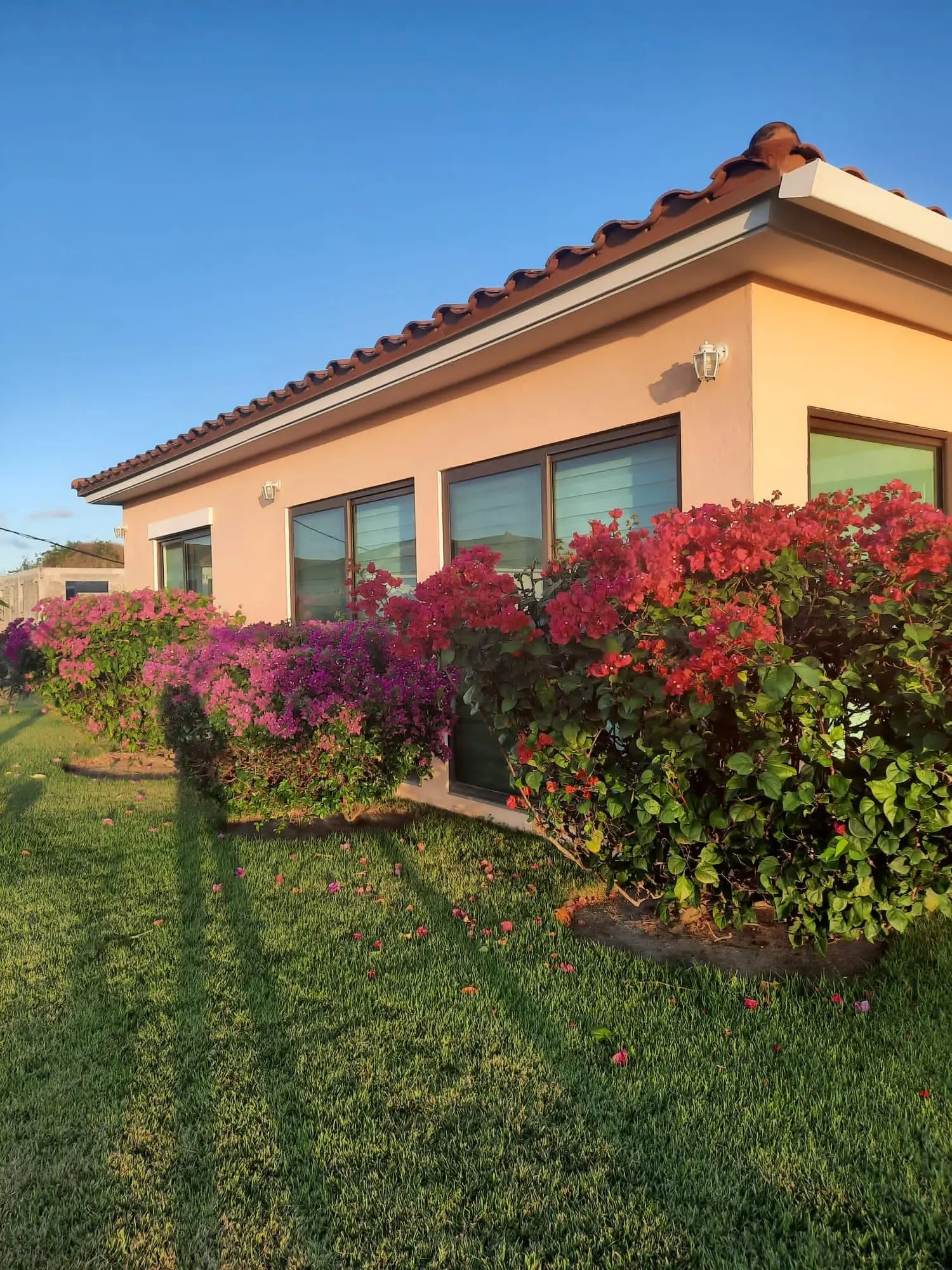 Hacienda Pacífica, Tercera Etapa, C3 , San Carlos, Panama Oeste - Photo 7