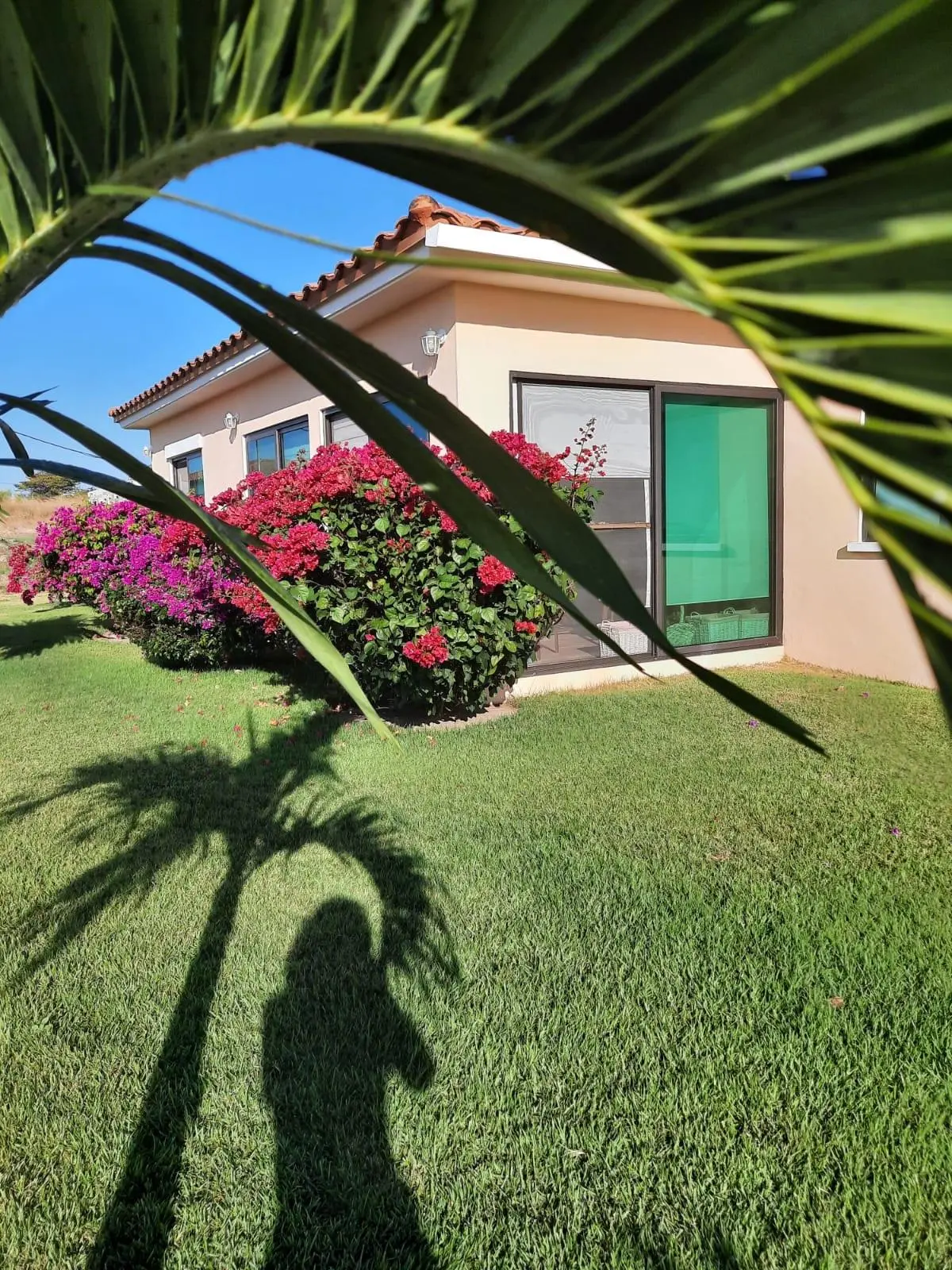 Hacienda Pacífica, Tercera Etapa, C3 , San Carlos, Panama Oeste - Photo 13