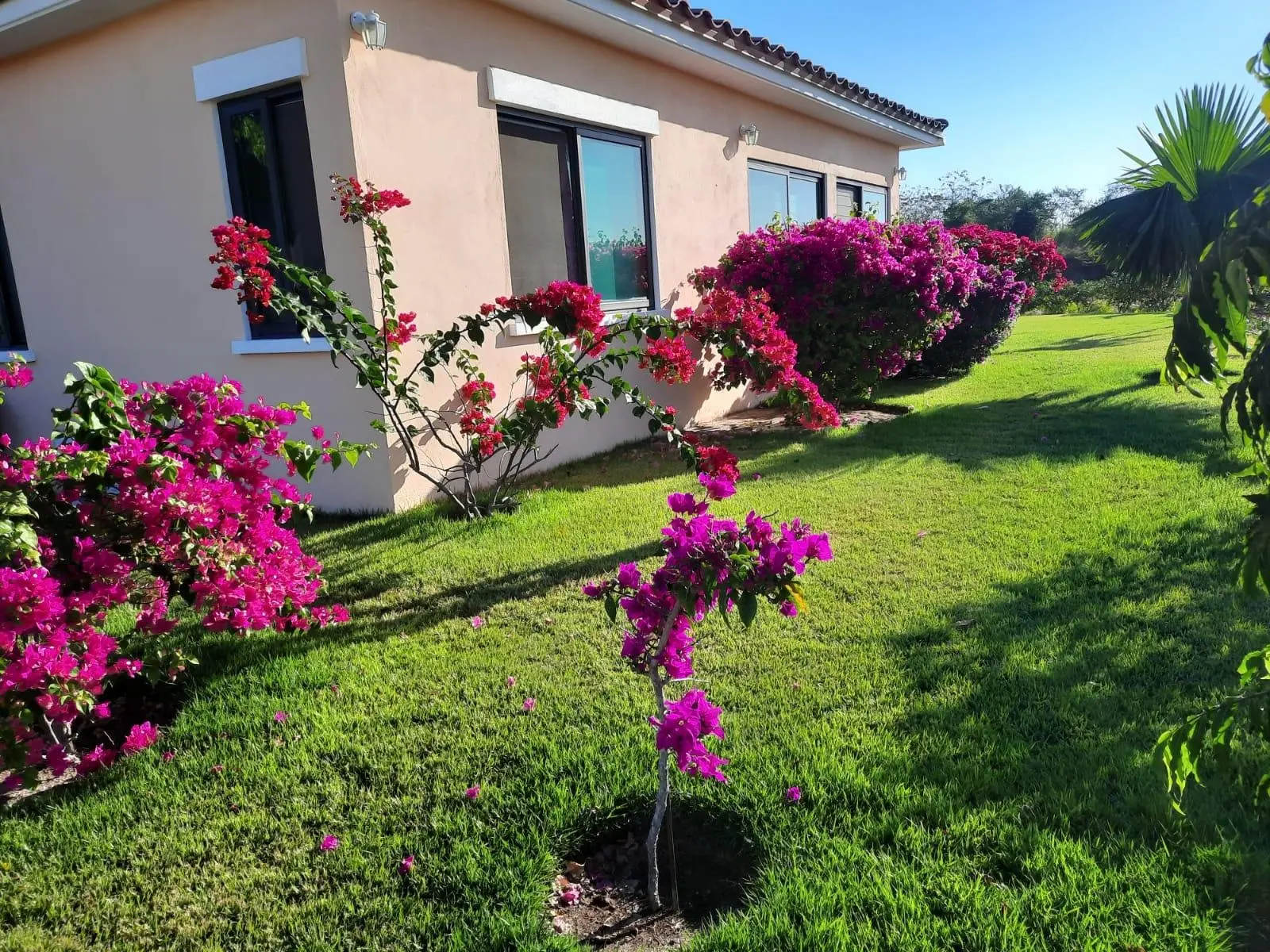 Hacienda Pacífica, Tercera Etapa, C3 , San Carlos, Panama Oeste - Photo 9