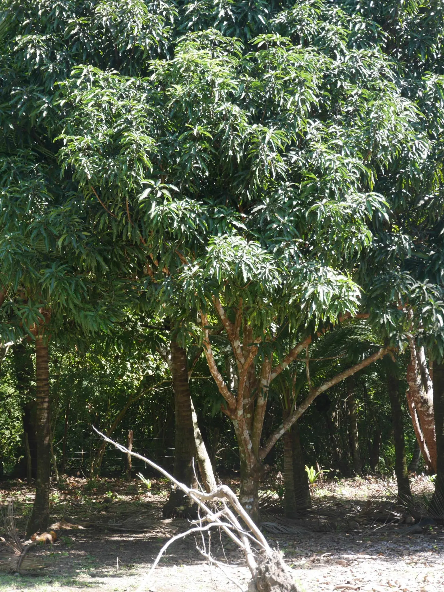 San Lorenzo, Playa Nanzal - Photo 51