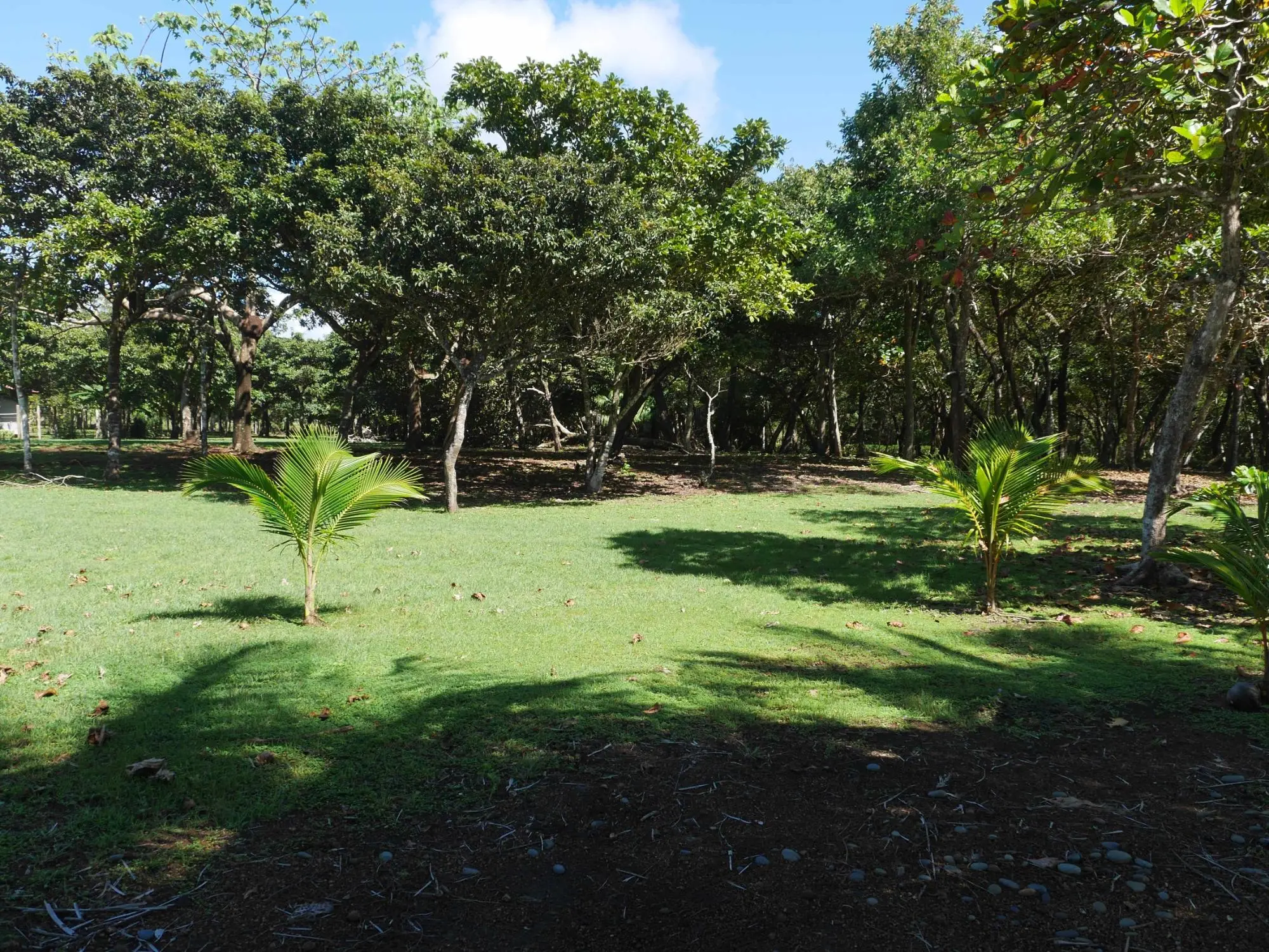 San Lorenzo, Playa Nanzal - Photo 58