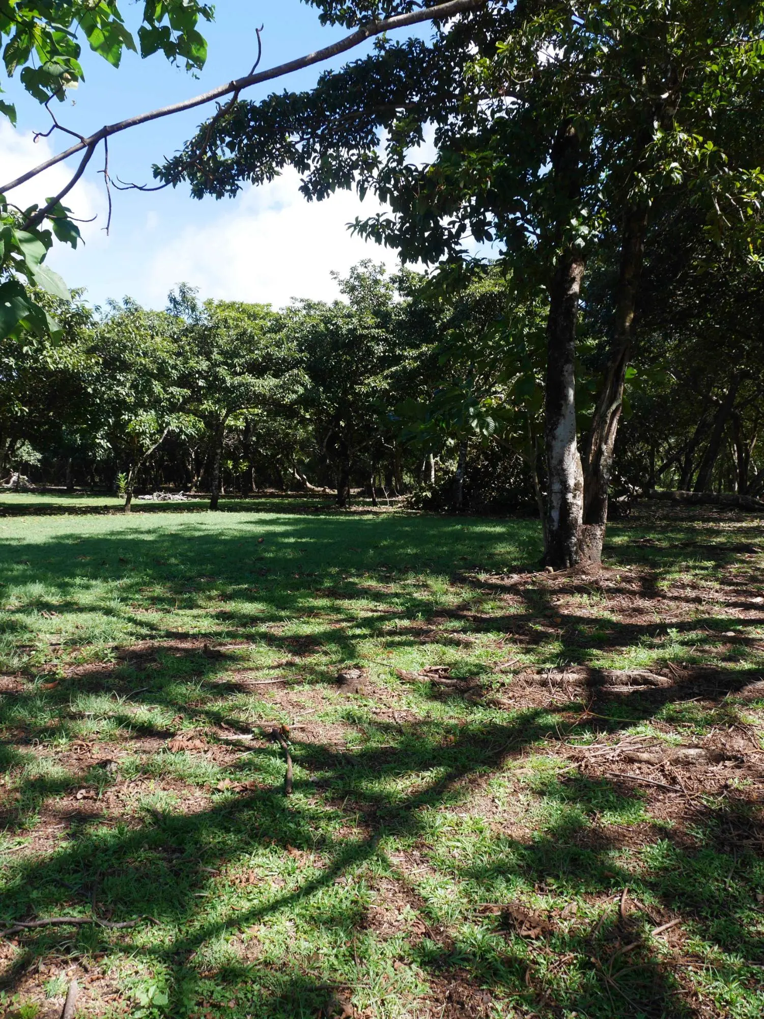 San Lorenzo, Playa Nanzal - Photo 55