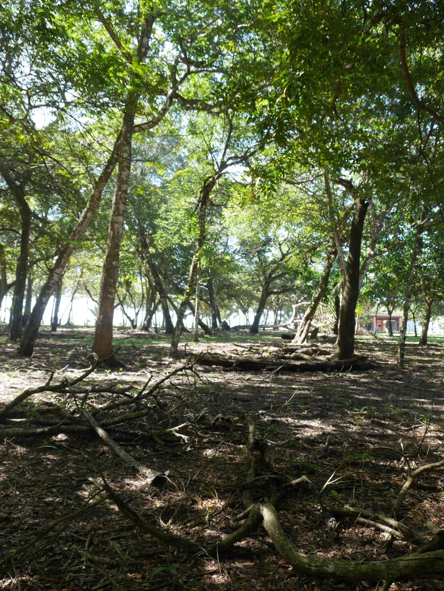 San Lorenzo, Playa Nanzal - Photo 44