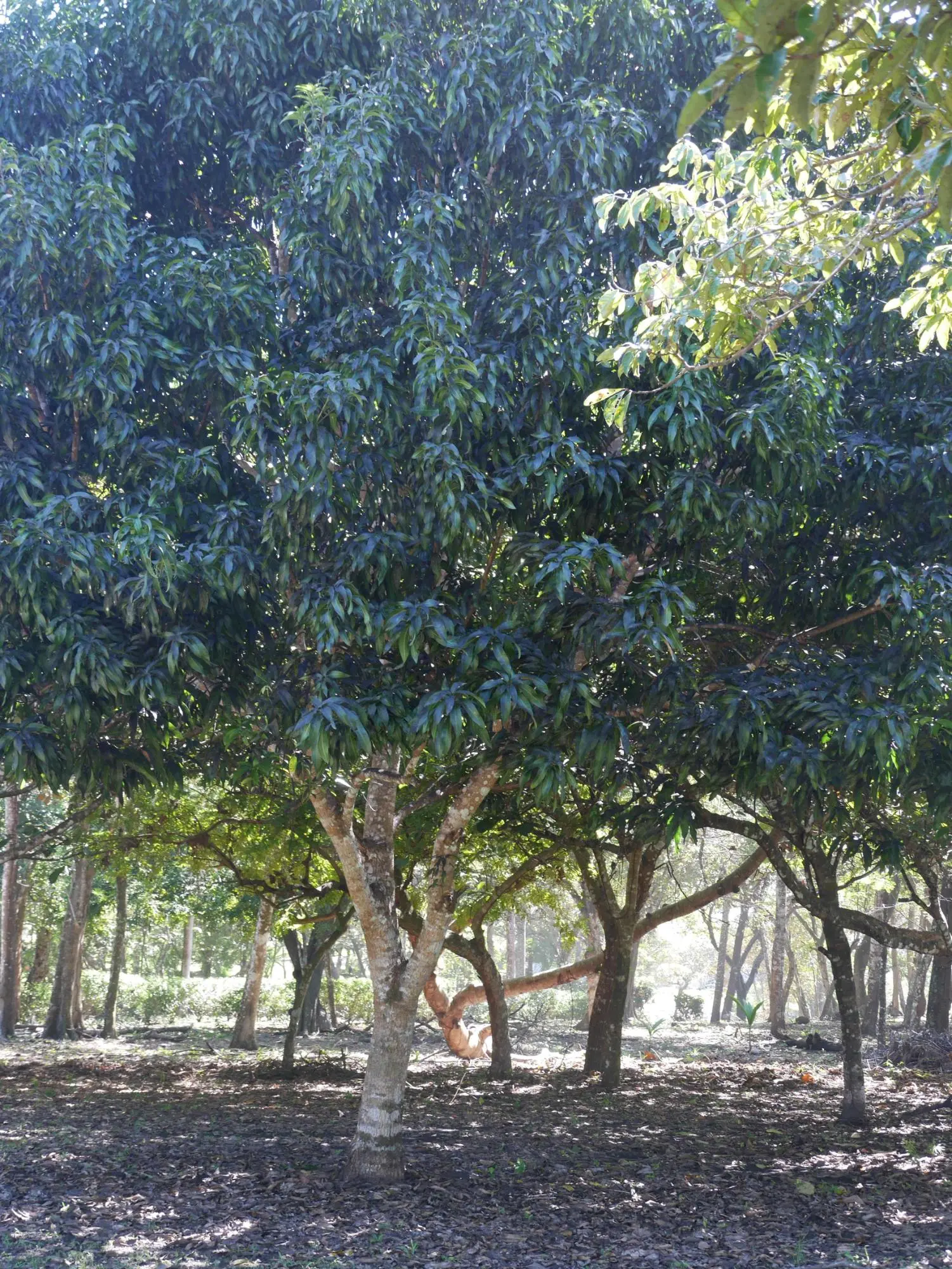 San Lorenzo, Playa Nanzal - Photo 50