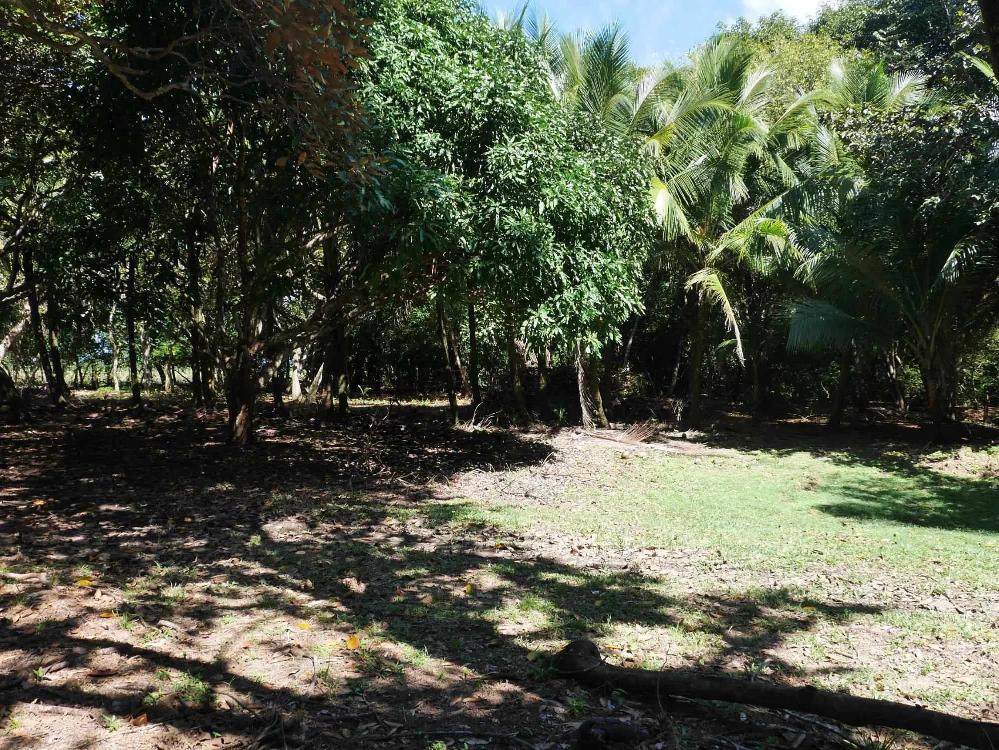 San Lorenzo, Playa Nanzal - Photo 45