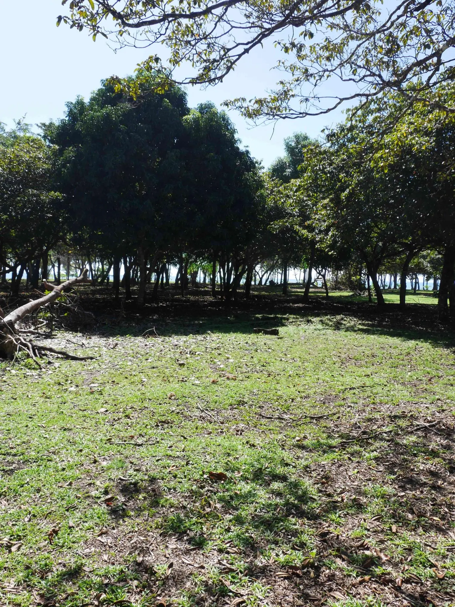 San Lorenzo, Playa Nanzal - Photo 47