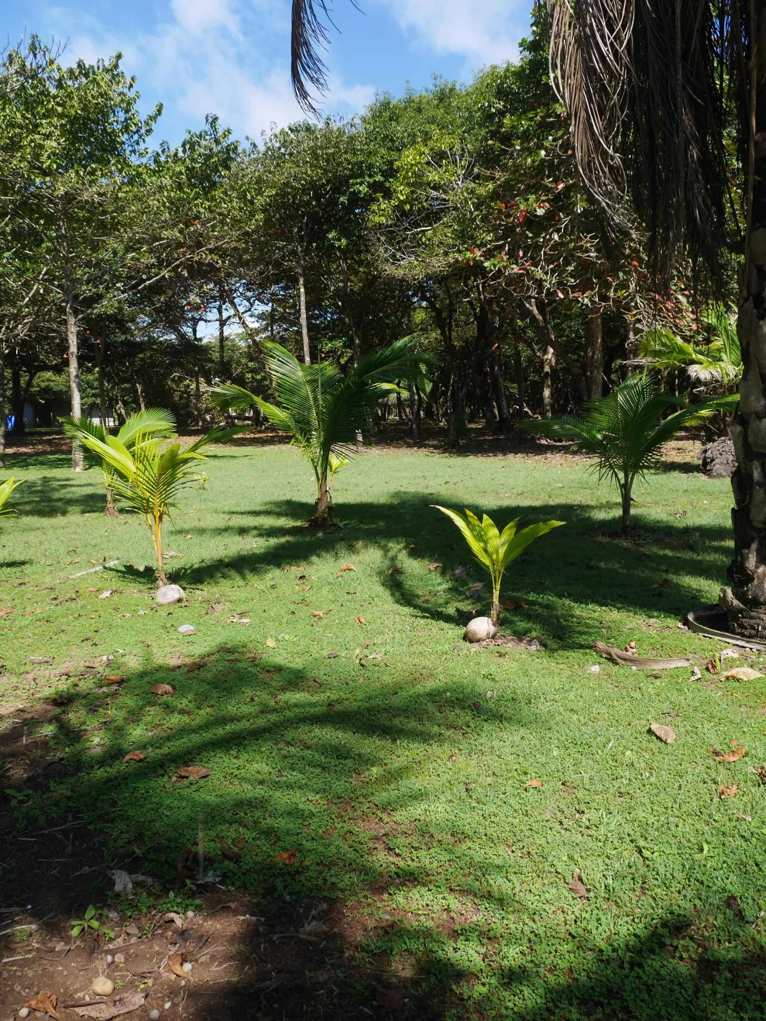 San Lorenzo, Playa Nanzal - Photo 40