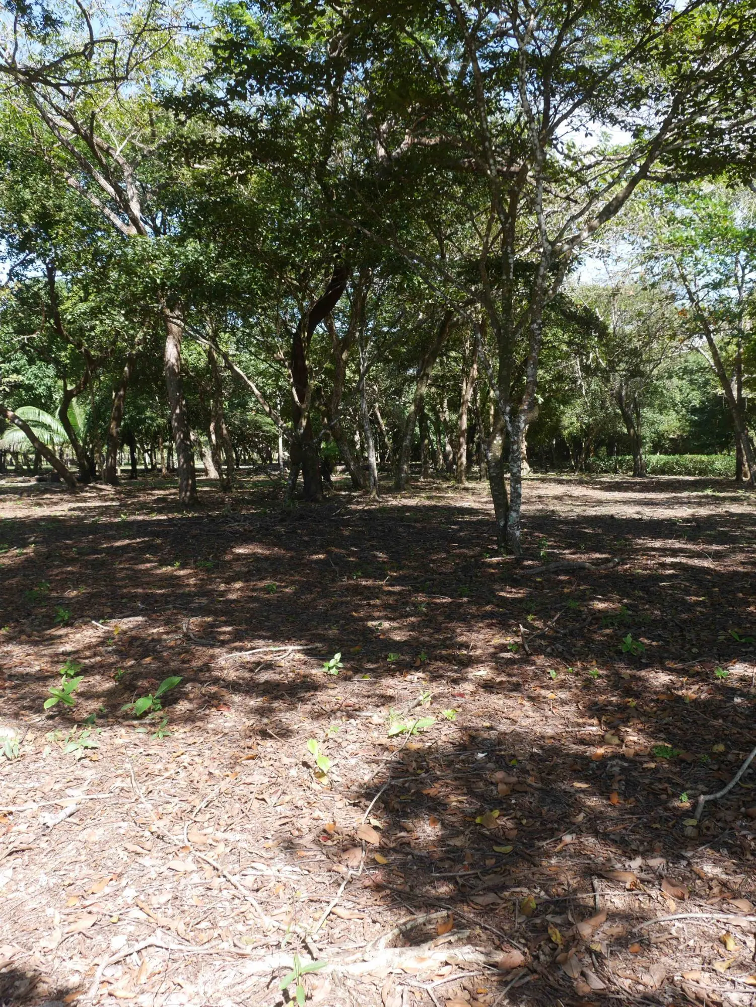 San Lorenzo, Playa Nanzal - Photo 42