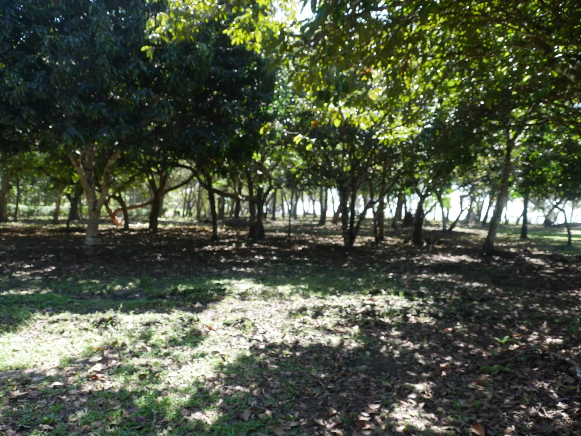 San Lorenzo, Playa Nanzal - Photo 49