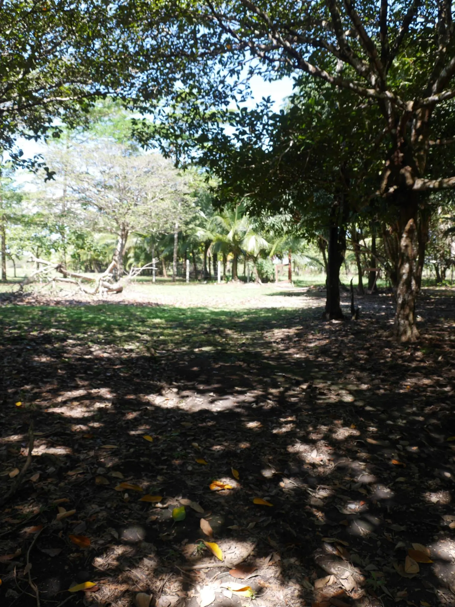 San Lorenzo, Playa Nanzal - Photo 46