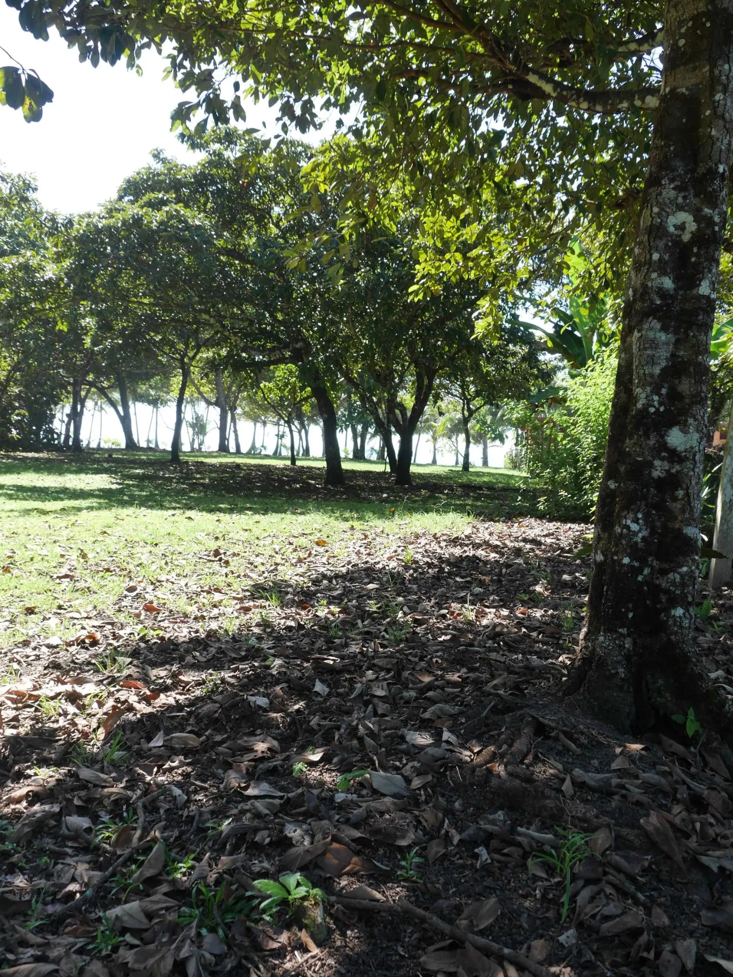 San Lorenzo, Playa Nanzal - Photo 53