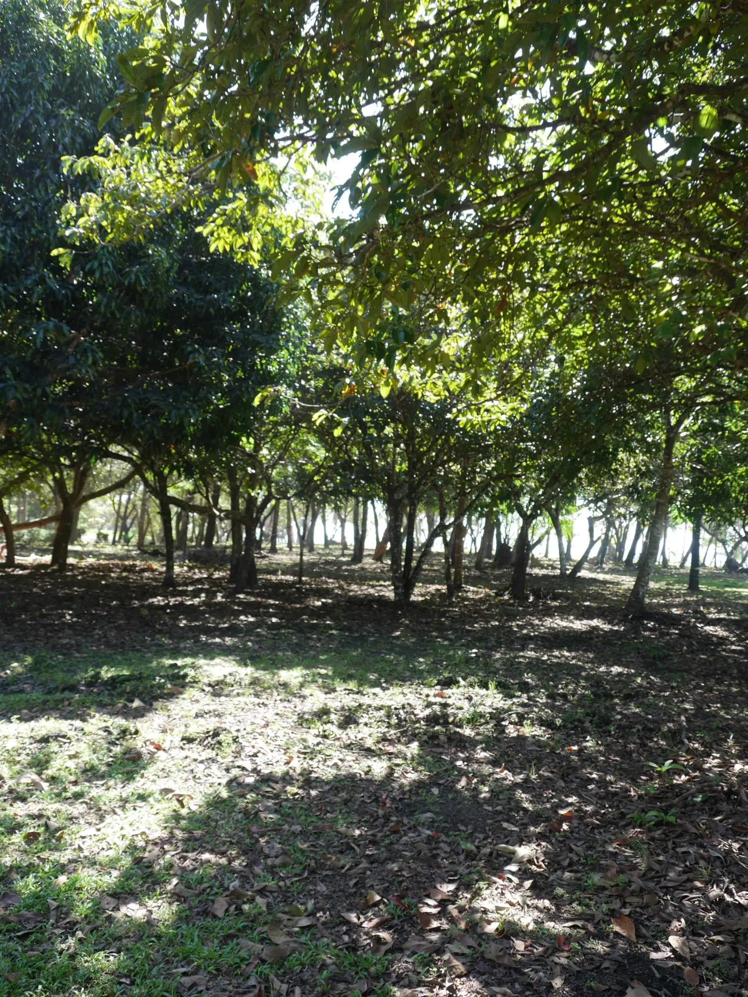 San Lorenzo, Playa Nanzal - Photo 48