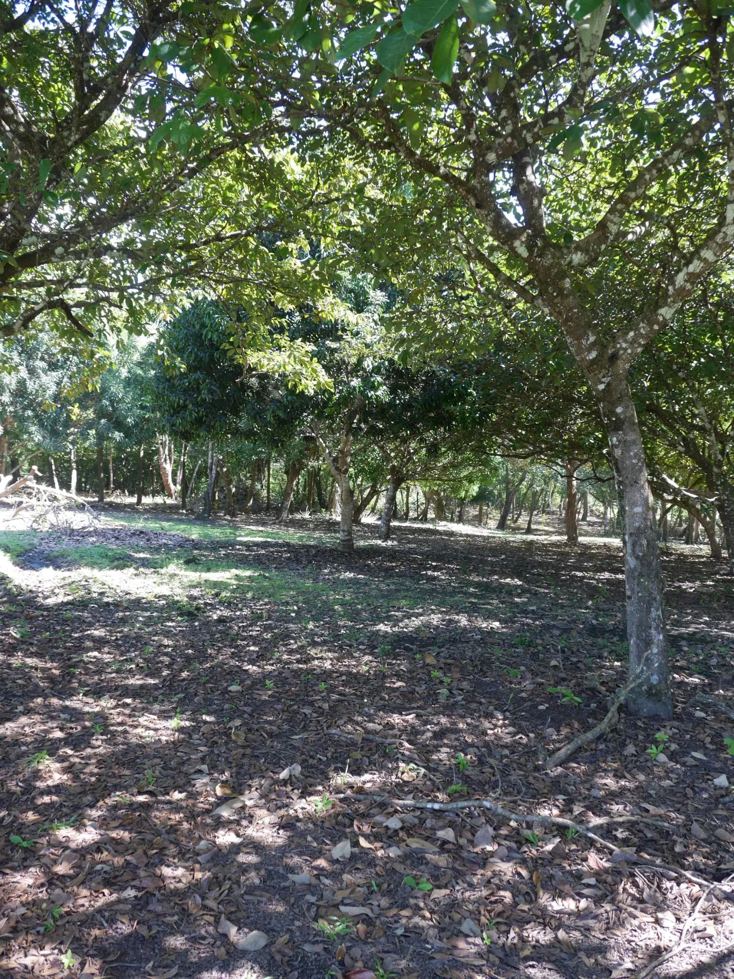 San Lorenzo, Playa Nanzal - Photo 52