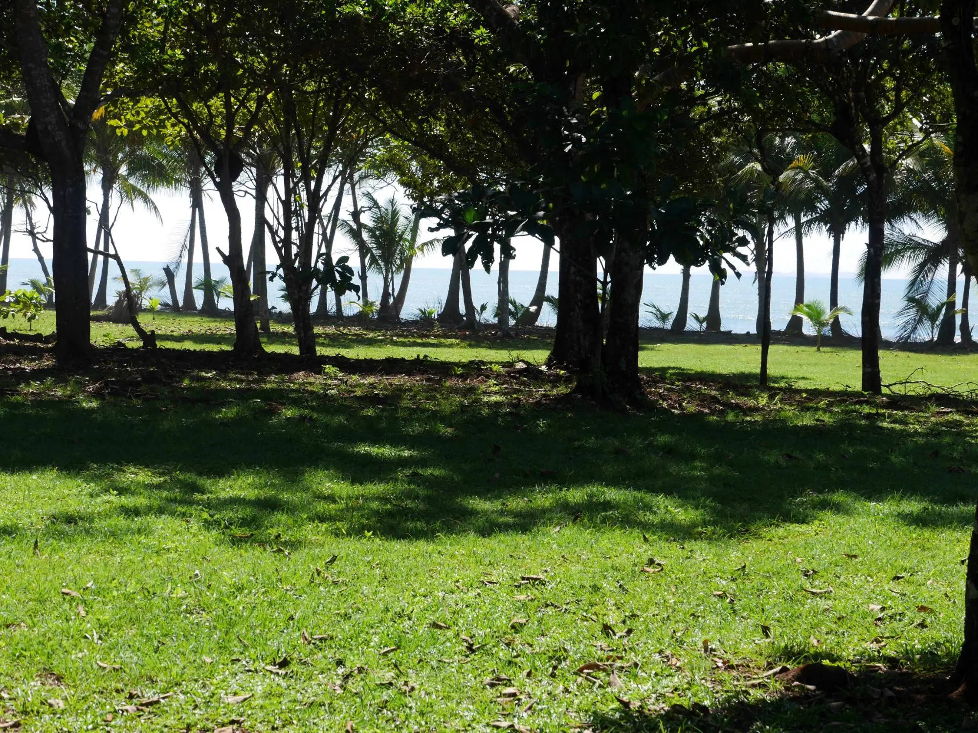 San Lorenzo, Playa Nanzal - Photo 54