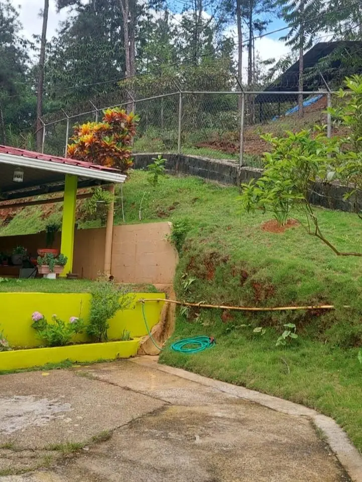 Cerro Azul, Urbanizacion El Pinar, Pacora - Photo 12