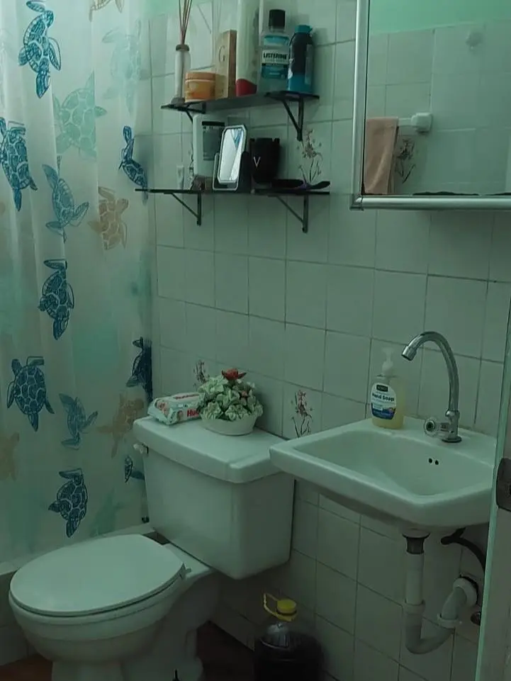 Cerro Azul, Urbanizacion El Pinar, Pacora - Photo 24