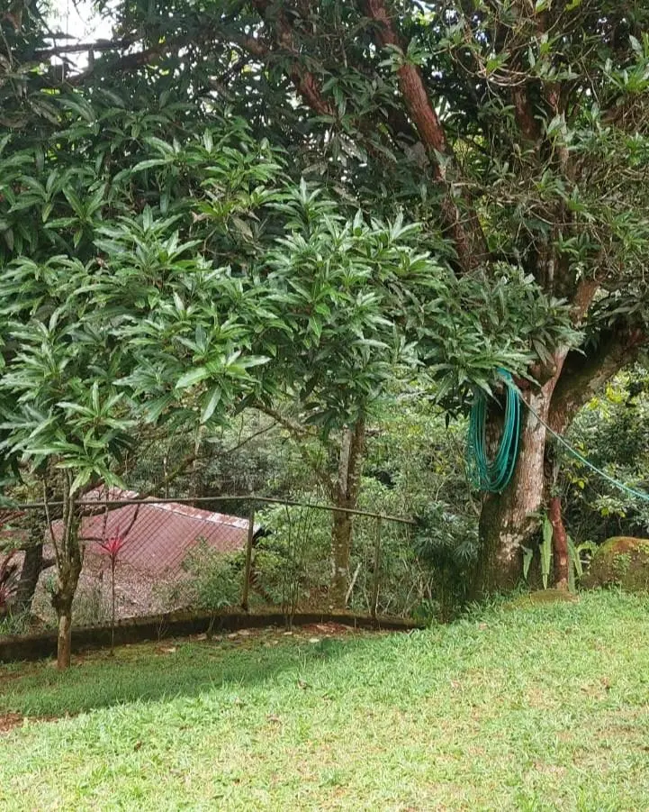 Cerro Azul, Urbanizacion El Pinar, Pacora - Photo 20