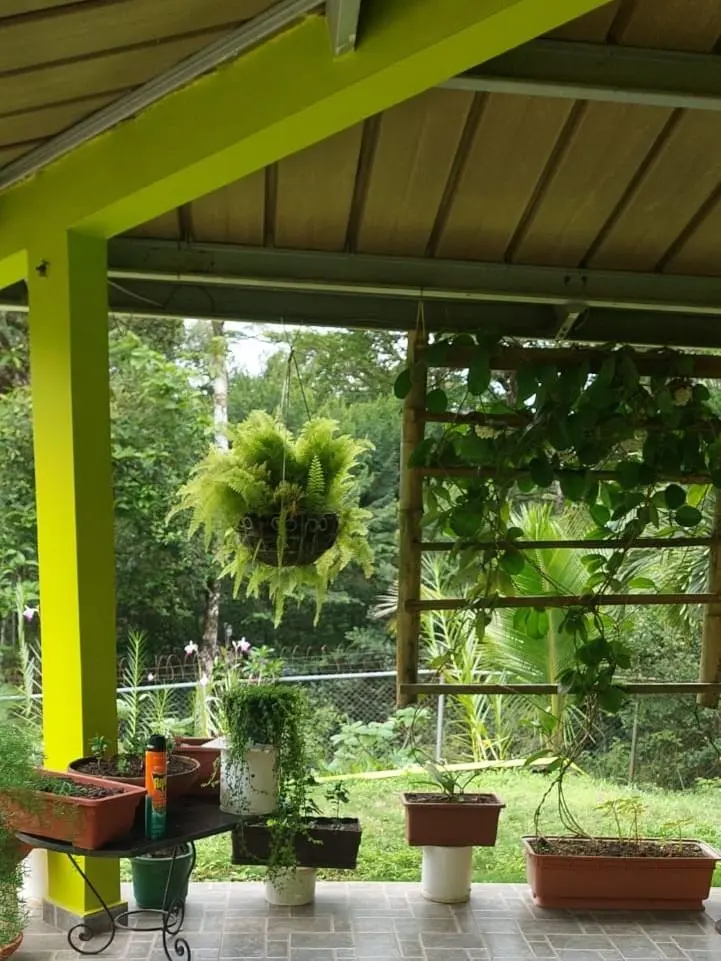 Cerro Azul, Urbanizacion El Pinar, Pacora - Photo 18