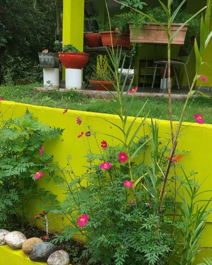 Cerro Azul, Urbanizacion El Pinar, Pacora - Photo 14