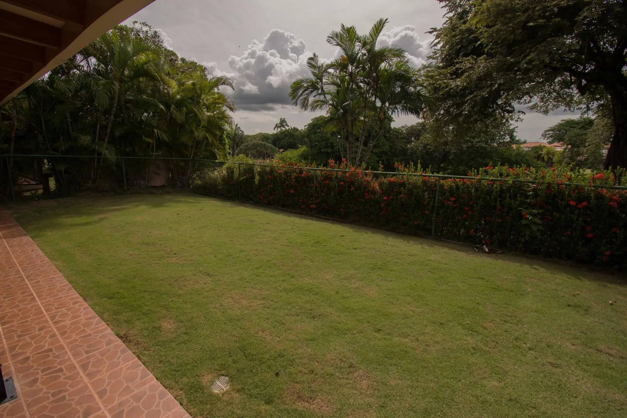 Raqueta 3 - Photo 85