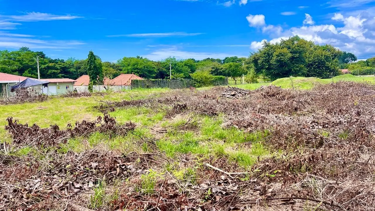 G4w5+922 Nueva Gorgona - Photo 5