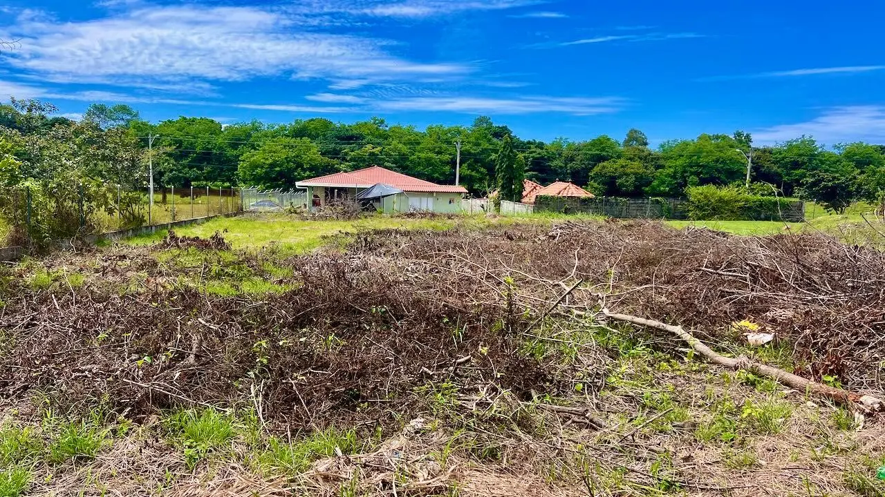 G4w5+922 Nueva Gorgona - Photo 26