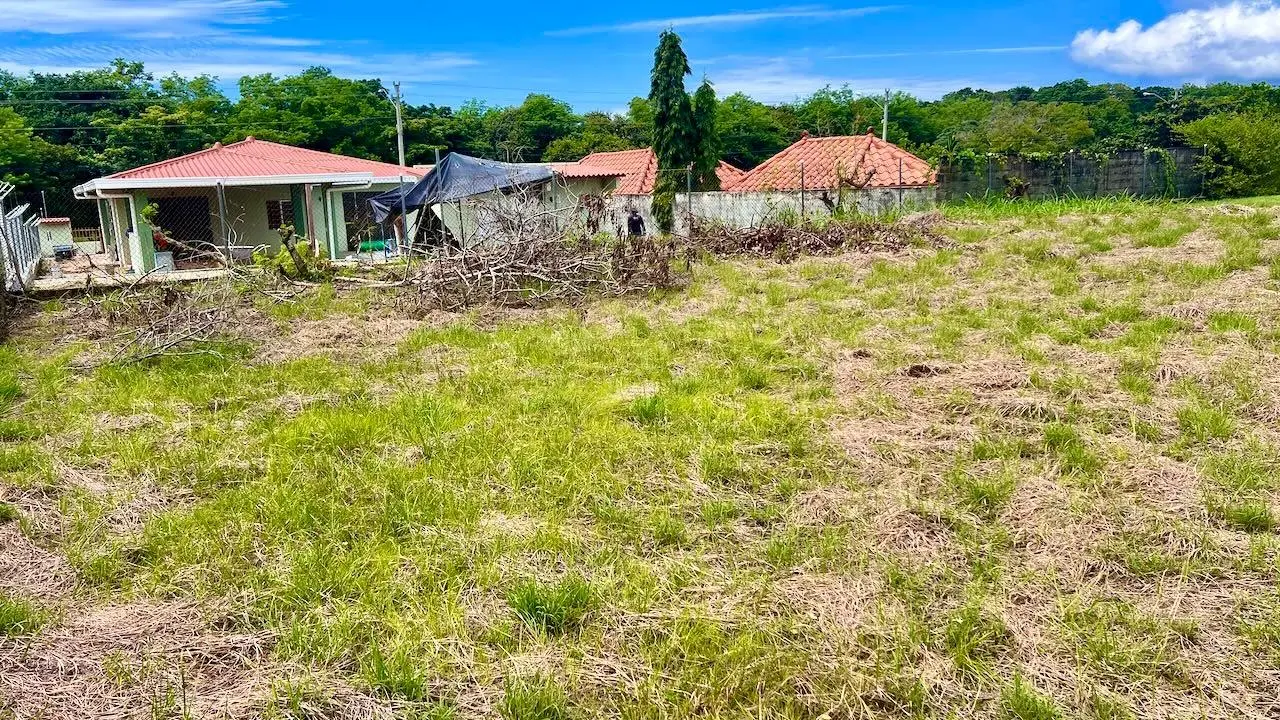 G4w5+922 Nueva Gorgona - Photo 10