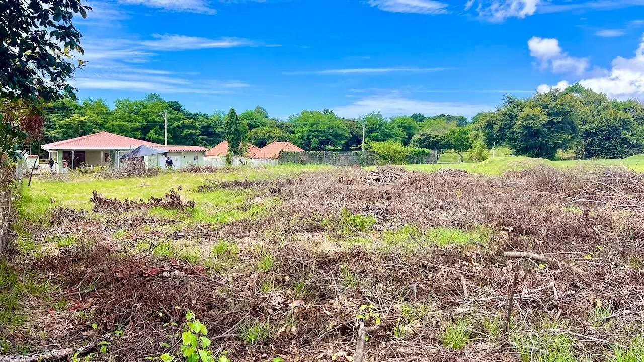 g4w5+922 nueva gorgona