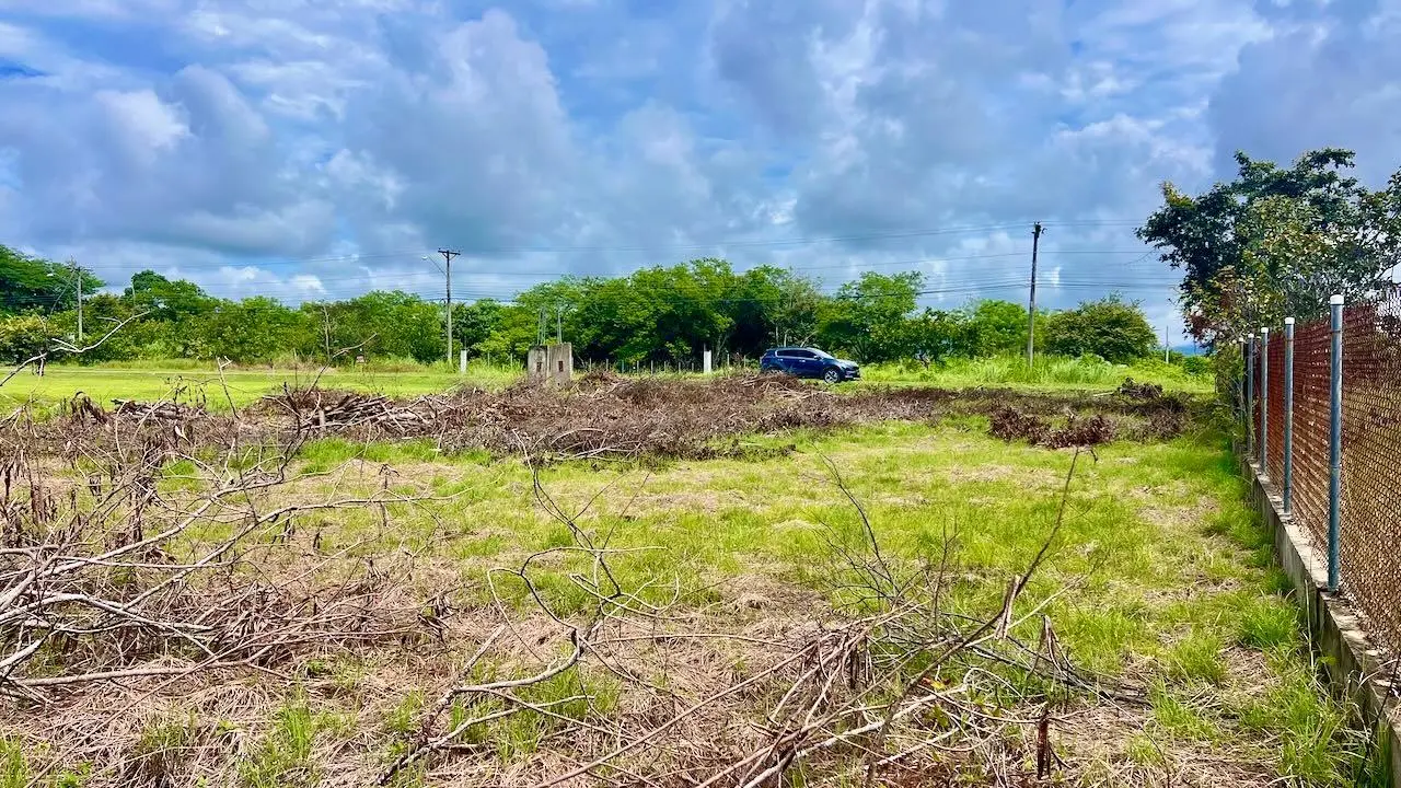 G4w5+922 Nueva Gorgona - Photo 14