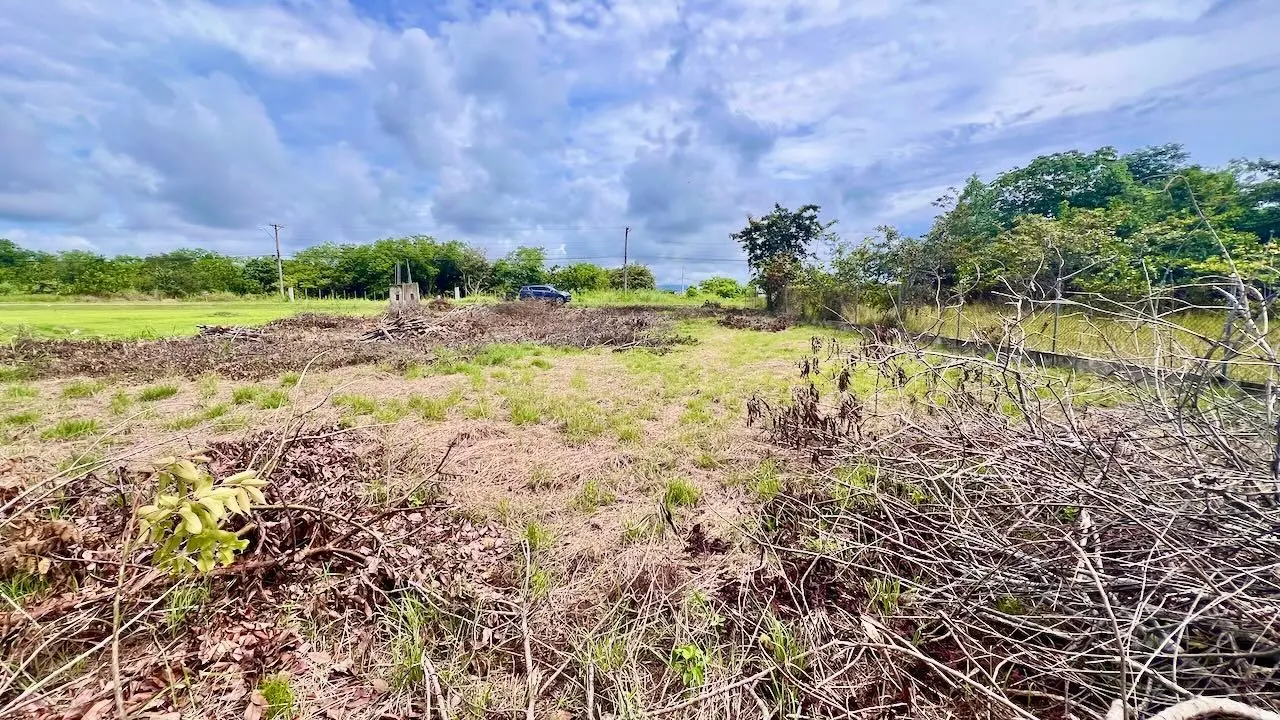 G4w5+922 Nueva Gorgona - Photo 21