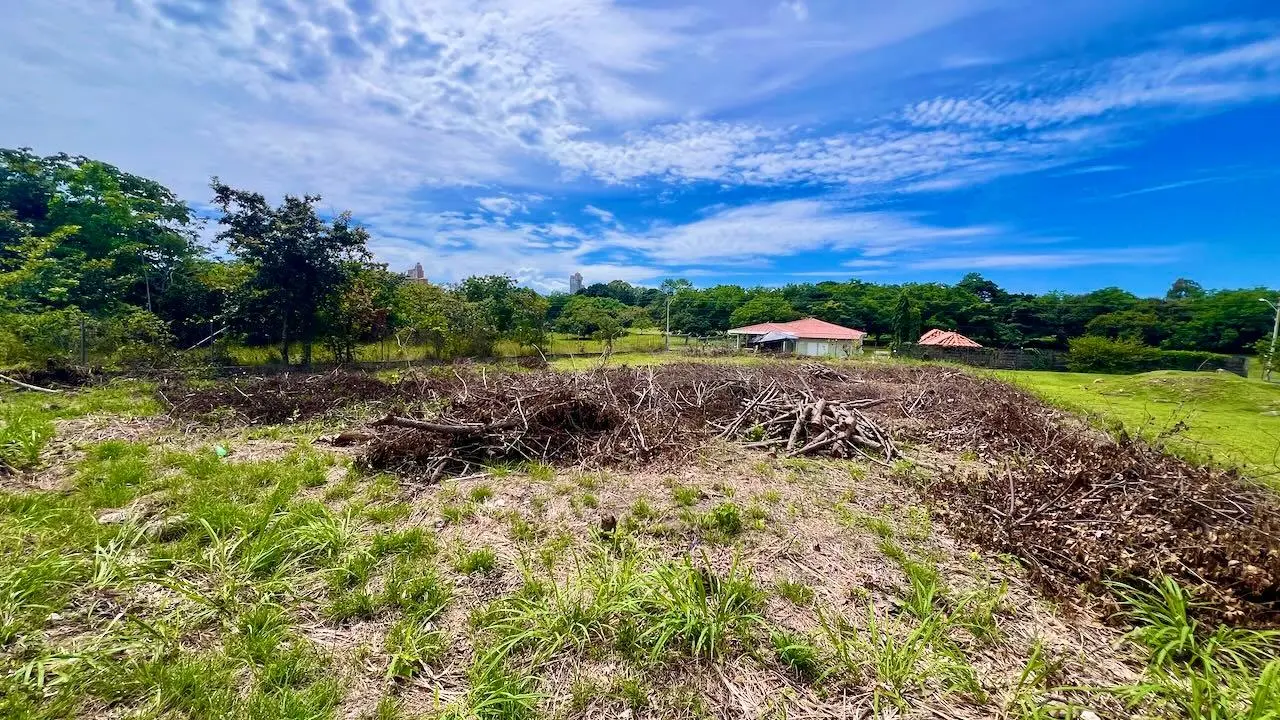 G4w5+922 Nueva Gorgona - Photo 29