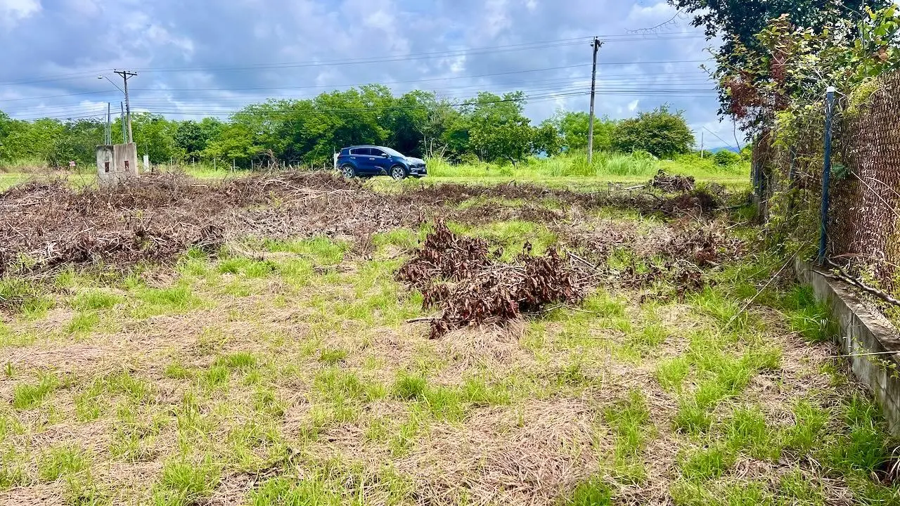 G4w5+922 Nueva Gorgona - Photo 7