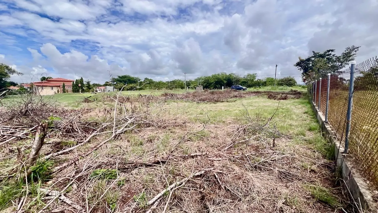 G4w5+922 Nueva Gorgona - Photo 17