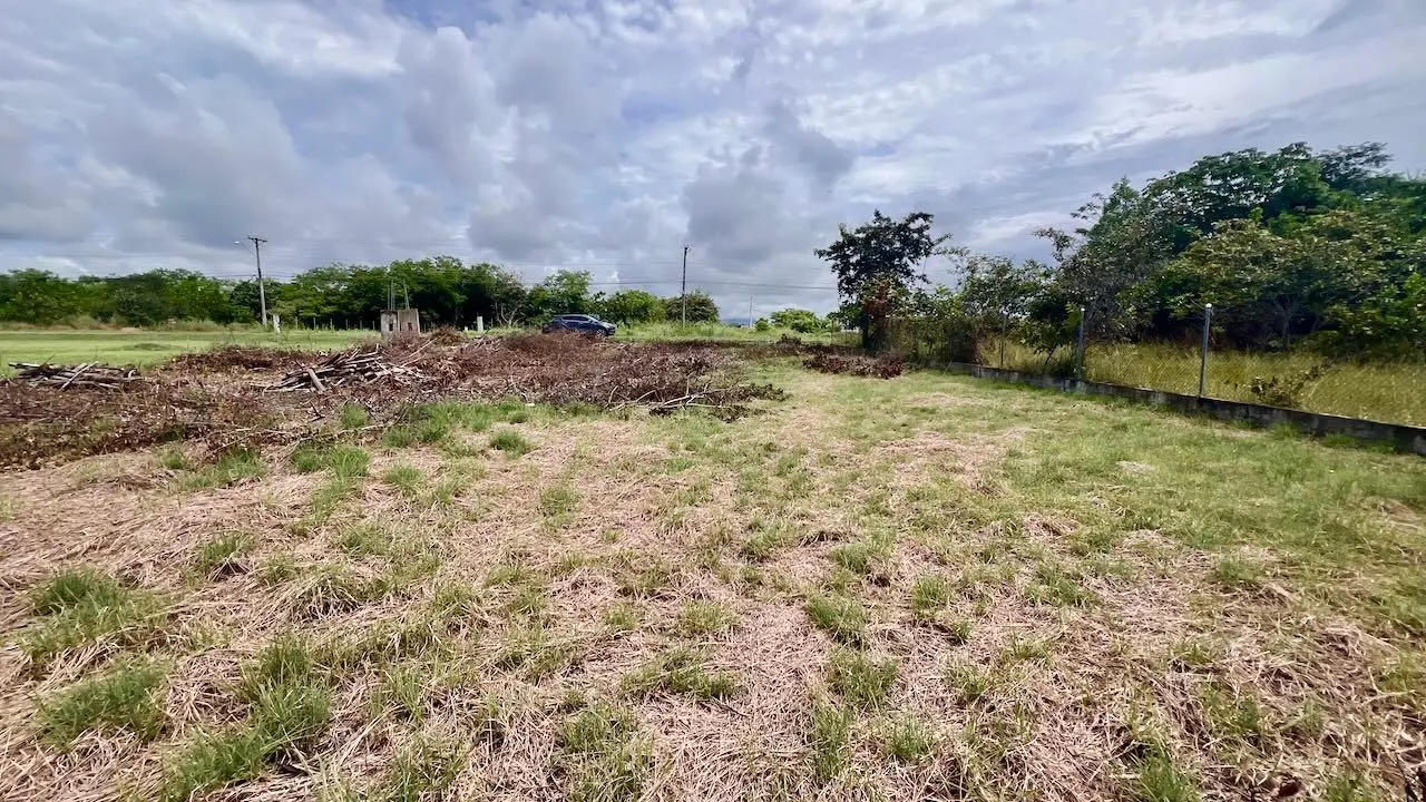 G4w5+922 Nueva Gorgona - Photo 23