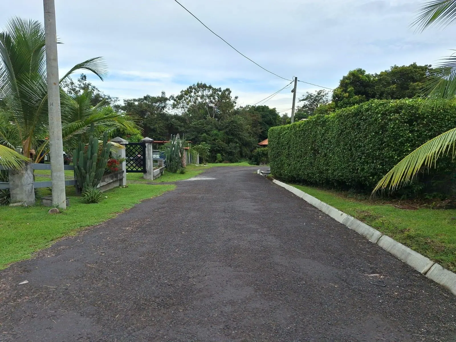 Costa Esmeralda Calle Teca - Photo 4