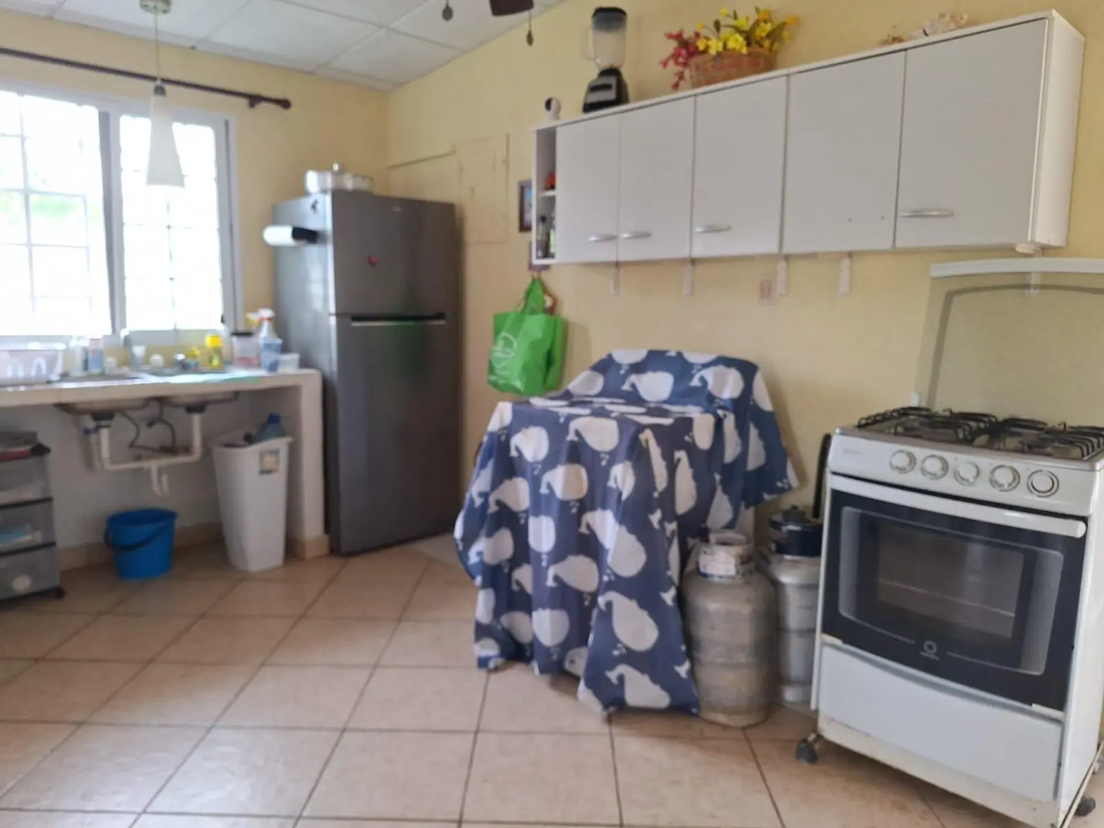 Costa Esmeralda Calle Teca - Photo 20