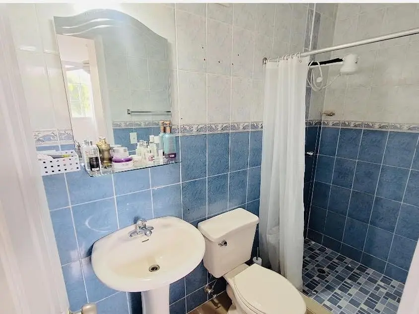 P.h. Betania Park, Camino Real Betania #9 Piso 1 - Photo 4