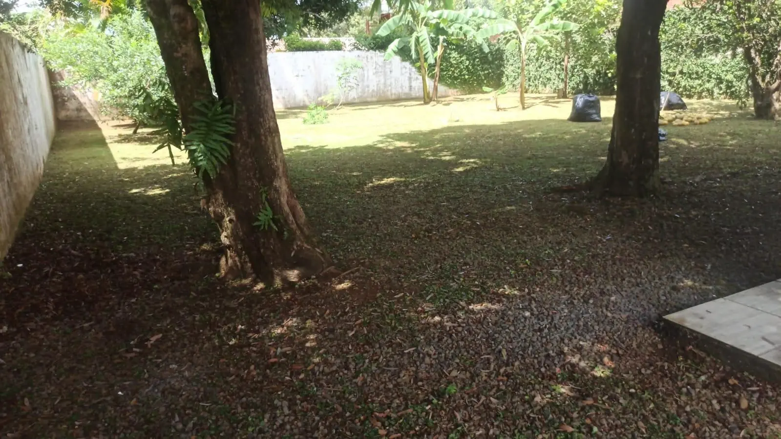 Casa En Residencial Villa Olga, David #1 - Photo 7