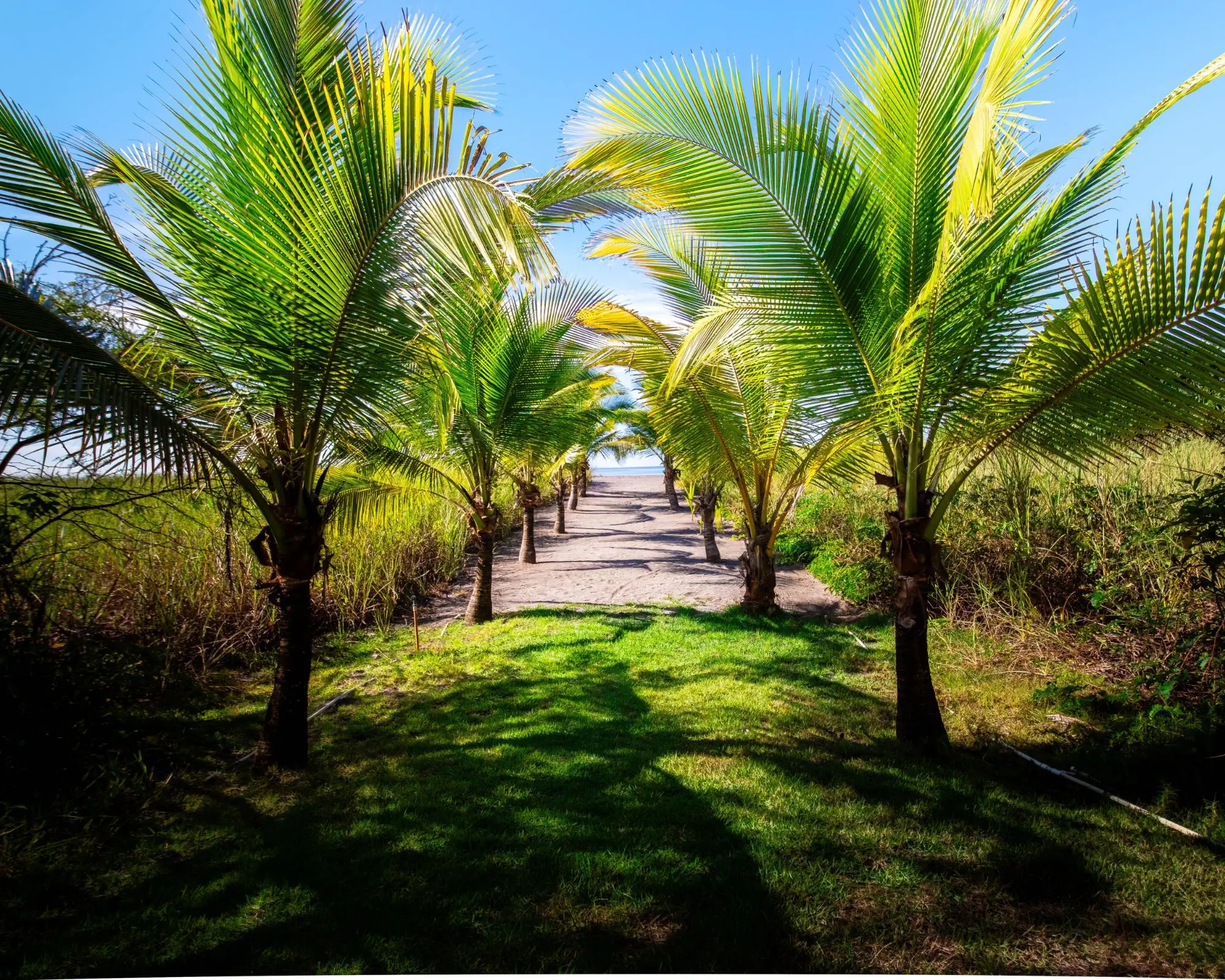 0 Chiriquí, Playa Barqueta - Photo 87