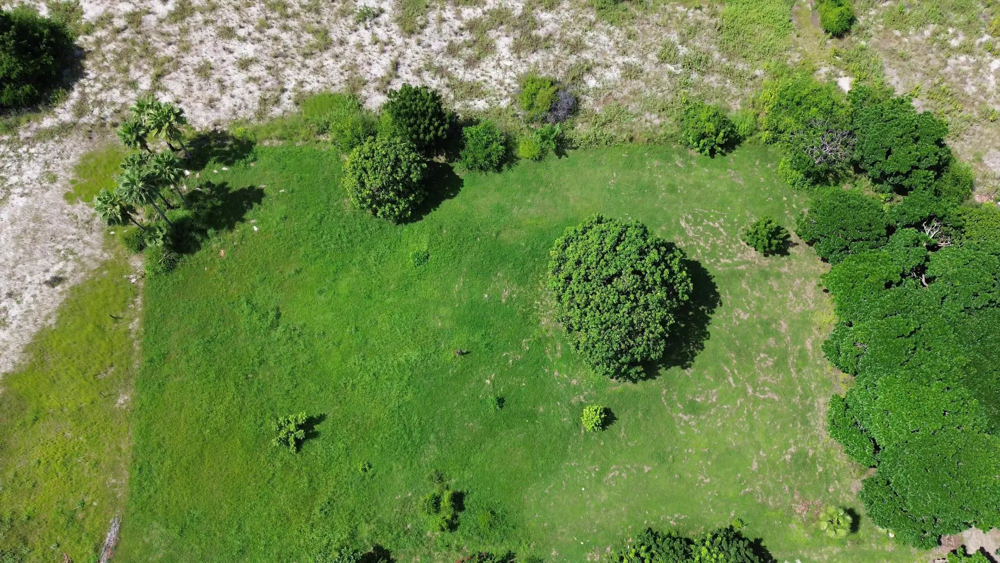 Punta Chame Calle D Lote 13 - Photo 28